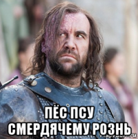  пёс псу смердячему рознь