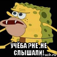  учёба ?не ,не слышали!