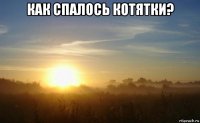 как спалось котятки? 