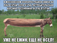 в московском зоопарке рацион ежика 84 руб в сутки, осла 87 руб. потребительская корзина россиянина 86 руб в сутки. уже не ежик, еще не осел!