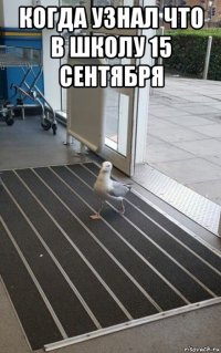 когда узнал что в школу 15 сентября 