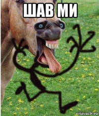 шав ми 