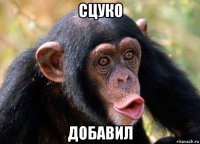 сцуко добавил