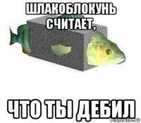 шлакоблокунь считает, что ты дебил