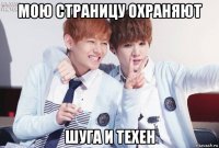 мою страницу охраняют шуга и техен