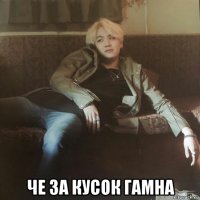  че за кусок гамна