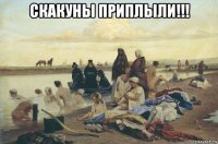 скакуны приплыли!!! 