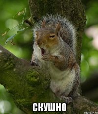  скушно