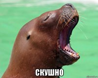 скушно