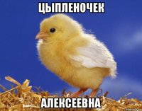 цыпленочек алексеевна