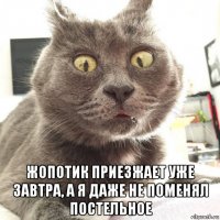  жопотик приезжает уже завтра, а я даже не поменял постельное