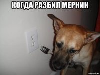 когда разбил мерник 