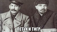  петух и тигр