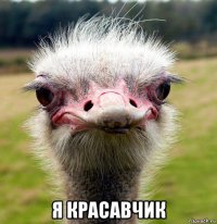  я красавчик