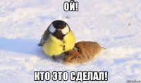 ой! кто это сделал!