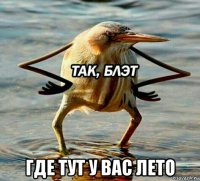  где тут у вас лето