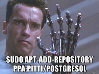  sudo apt-add-repository ppa:pitti/postgresql