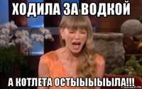ходила за водкой а котлета остыыыыыла!!!