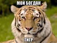 мой богдан тигр