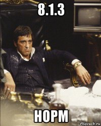 8.1.3 норм