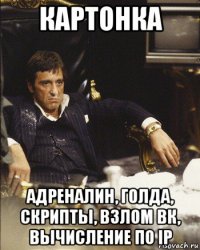 картонка адреналин, голда, скрипты, взлом вк, вычисление по ip