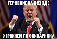 терпение на исходе херакнем по свинарнику