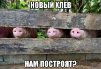 новый хлев нам построят?
