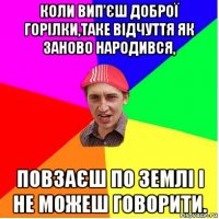 коли вип’єш доброї горілки,таке відчуття як заново народився, повзаєш по землі і не можеш говорити.