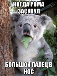 когда рома засунул большой палец в нос