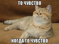 то чувство когда то чувство