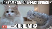 пирамида. ольфакторная. слышали?