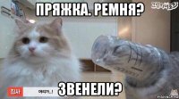 пряжка. ремня? звенели?