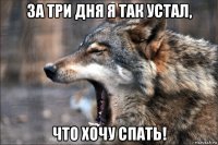 за три дня я так устал, что хочу спать!