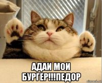  адаи мои бургер!!!педор