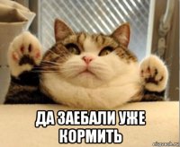  да заебали уже кормить