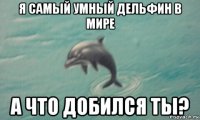 я самый умный дельфин в мире а что добился ты?