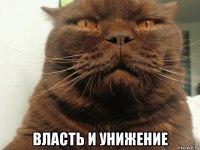  власть и унижение