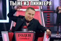 ты не из пинигеря 