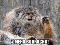  у меня вопросик!