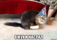  вжух и насрал