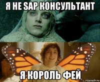 я не sap консультант я король фей