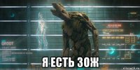  я есть зож