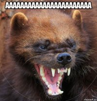 ааааааааааааааааааааааа 