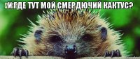 и где тут мой смердючий кактус? 