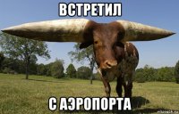 встретил с аэропорта