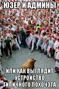 юзер и админы или как выглядит устройство типичного лохочэта
