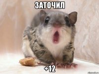 заточил +12