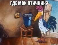 где мои птичник? 