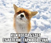  ну и когда будет сбавление тарифов сука.