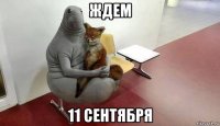 ждем 11 сентября